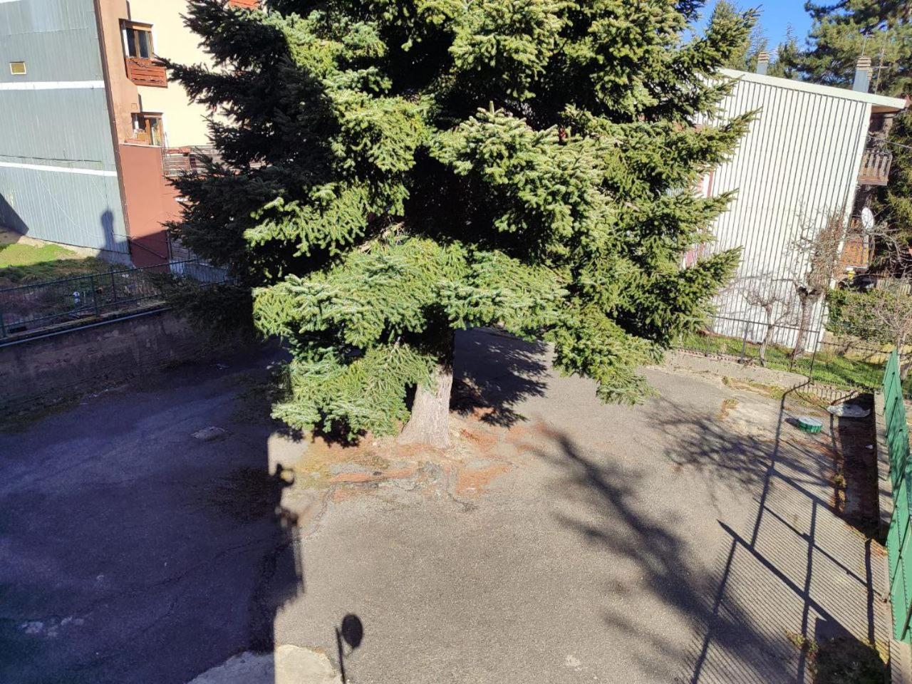 Madresila Home Camigliatello Silano Dış mekan fotoğraf